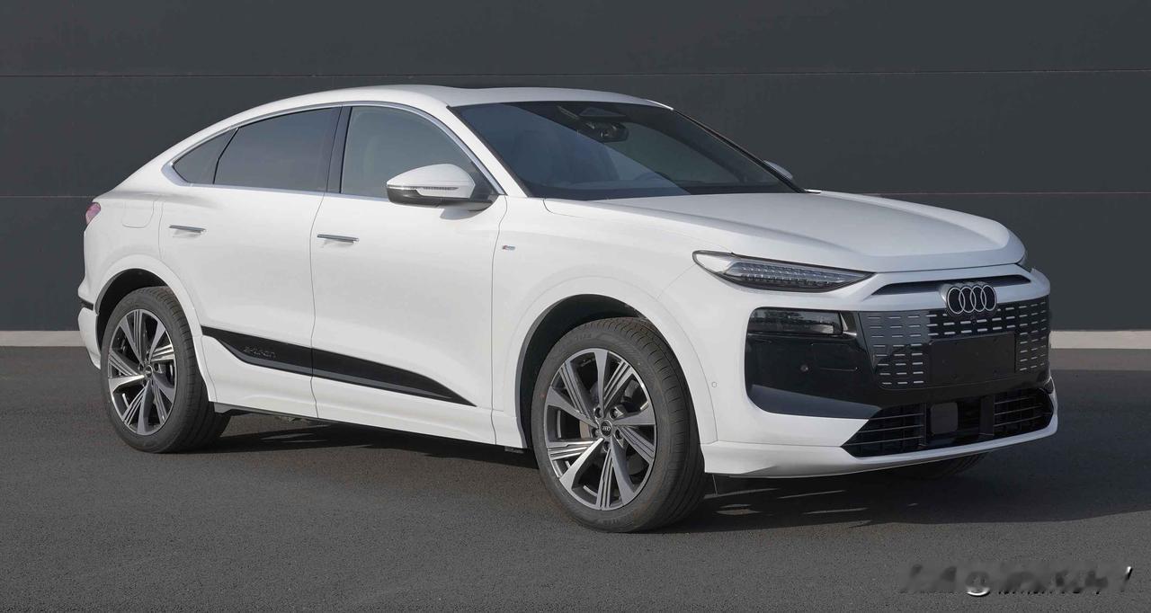 纯电动奥迪Q6L，跨界版。

车长4884毫米，车宽1965毫米，车高1656毫