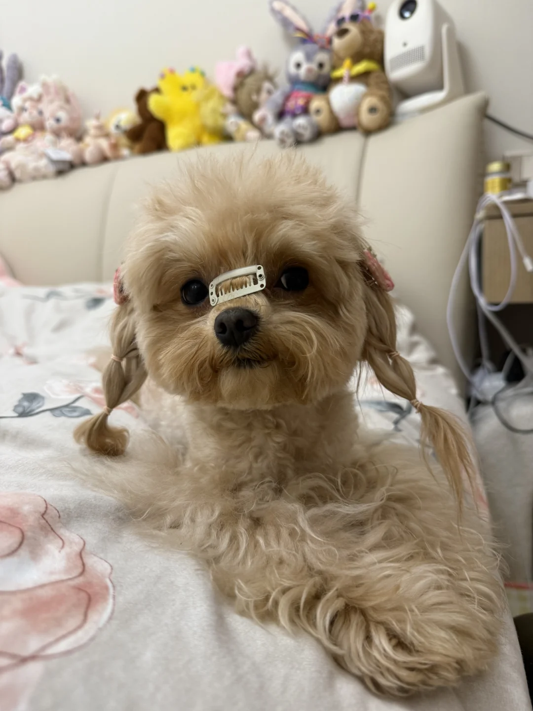不要放过这个小女男孩！
