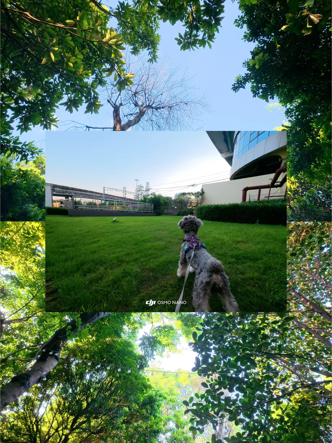 我悟了，nano拍照好看的关键是光线🌞