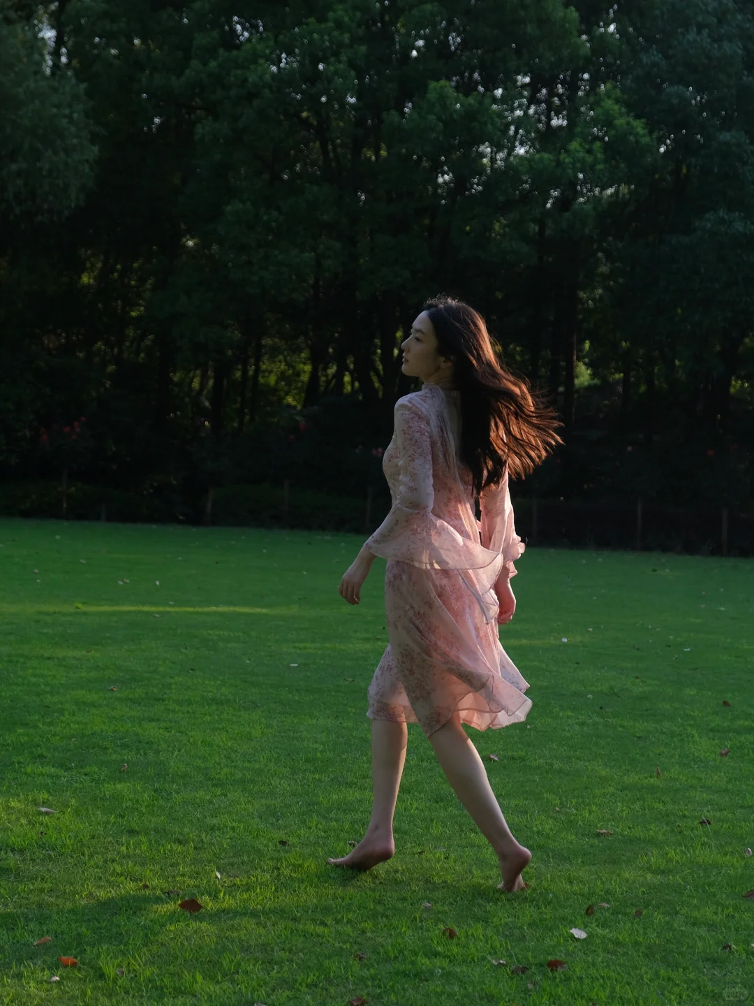 曾经狂奔 舞蹈 贪婪地说话 ｜植物系