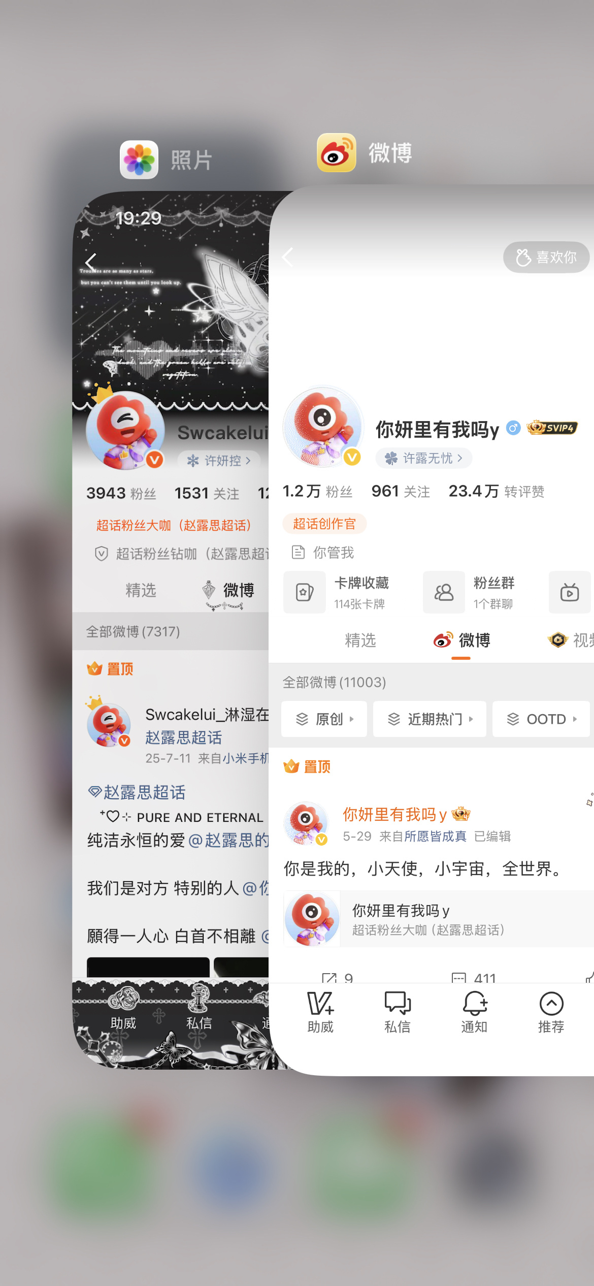 晚上好 刷到动动 