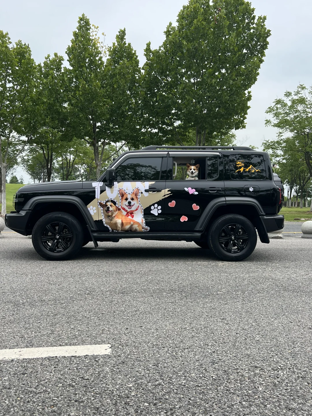 人，不太痛的痛车小狗也有了