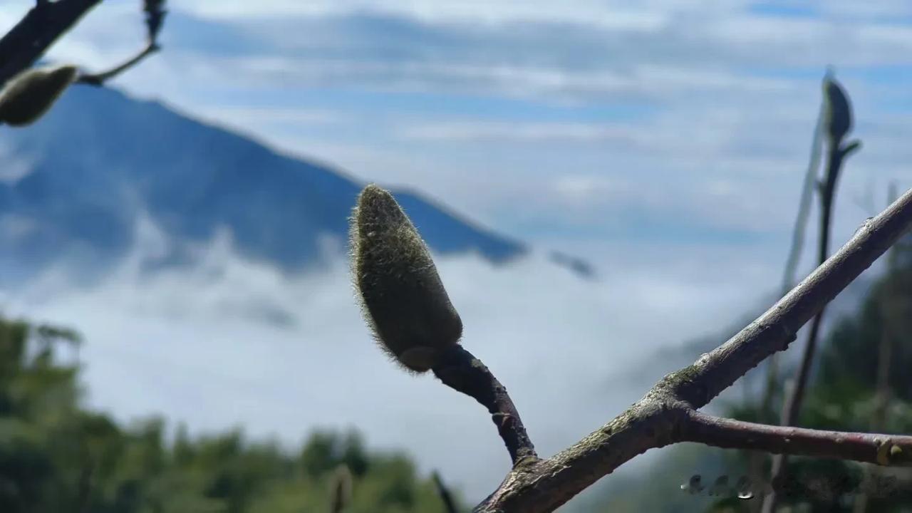 走进你山乡古村落
沉醉在你的温婉里
古朴典雅的乡村啊
举手就是鎏金薄雾
抬手便见