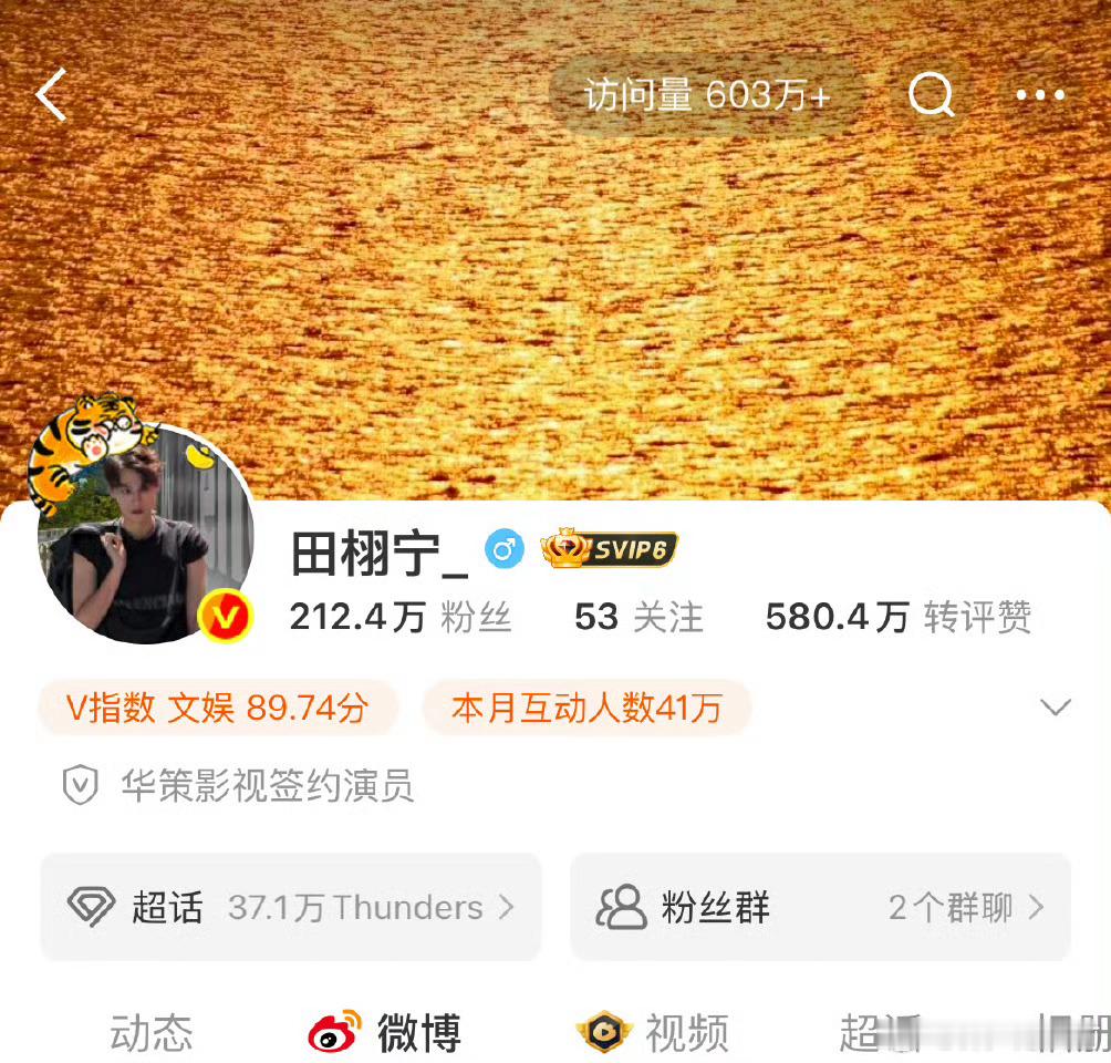 田栩宁微博访问量603万 ​这算爆新人吧 ​​​