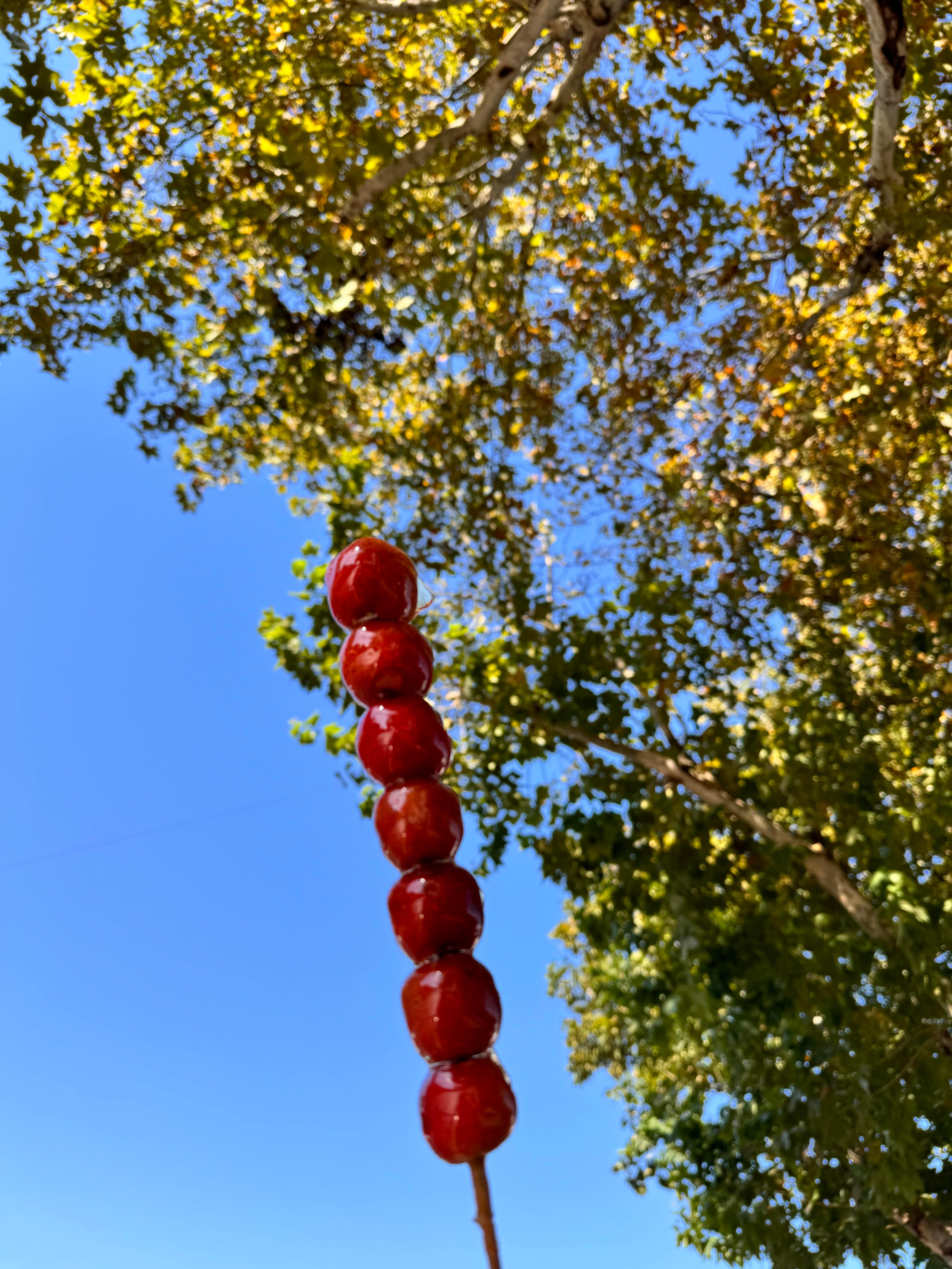 ☀️要像太阳一样 有起有落不失光彩👋 