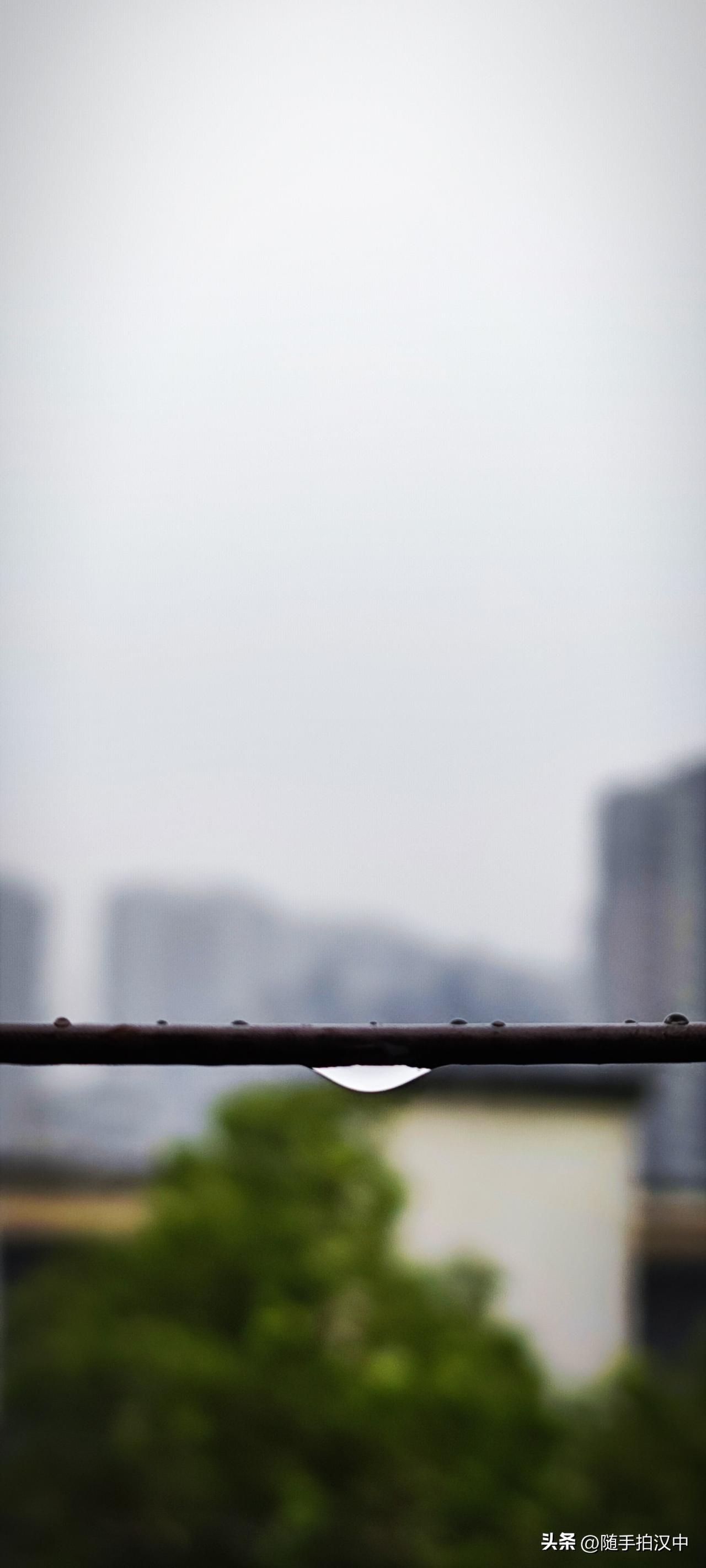 天南地北大拜年春雨绵密，千万根细丝挨在一起，齐齐落下，沙沙作响，像织了一张柔软的