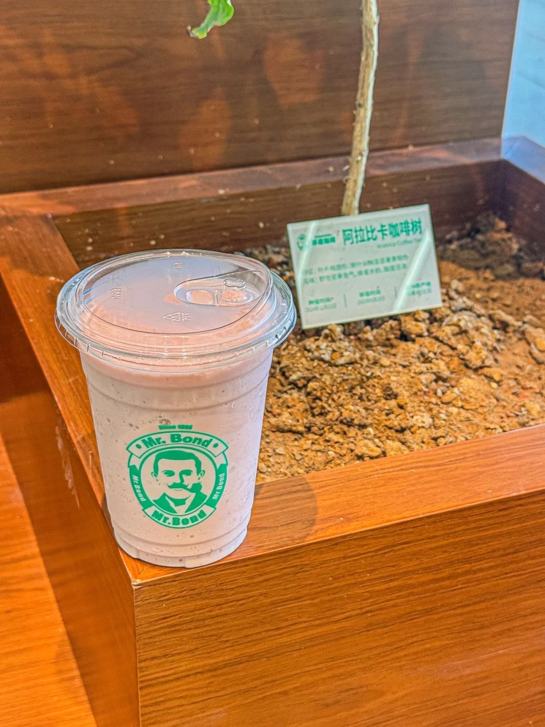 谁懂啊❗️邦德咖啡开到乐高乐园了，好吃到