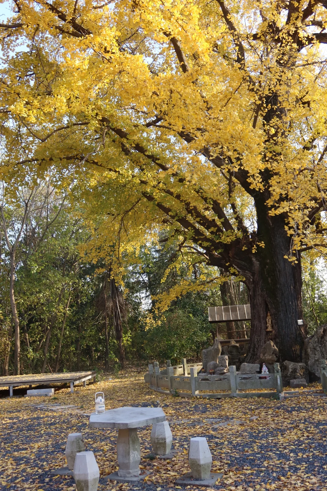 接下来的惠济寺、华严寺、零号路…美哭了😭😭