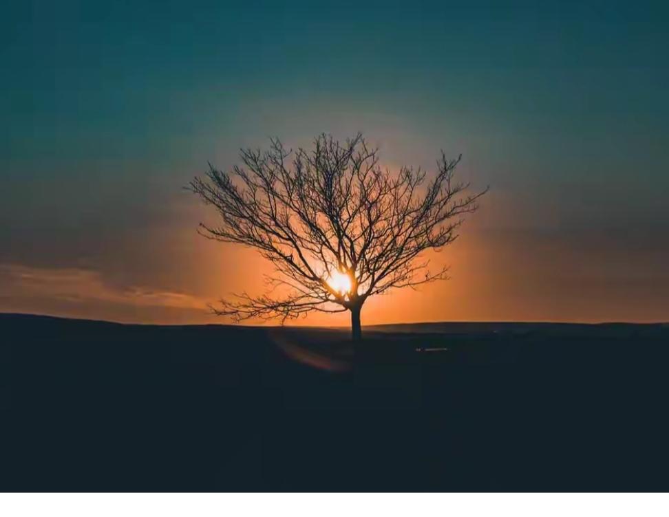 老天爷泄露天机，看到的人都会事事顺心

这话听起来像是朋友圈里转发的吉祥话，可仔