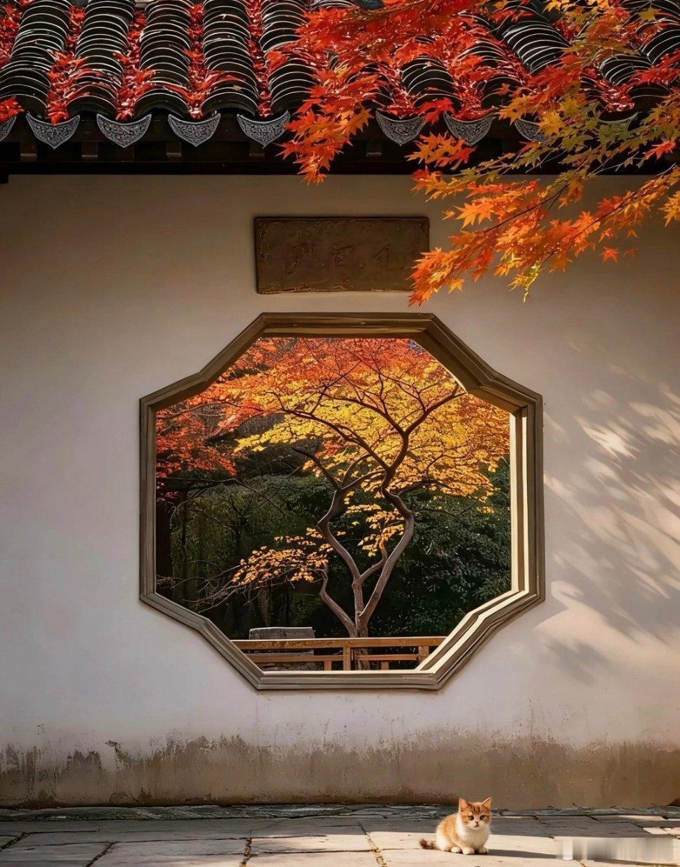 三毛听了王洛宾的歌迷的魂不守舍，千里迢迢赶到乌鲁木齐就要嫁给他。九十年代的乌鲁木