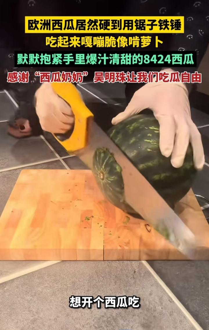 欧洲西瓜硬到要锯，我们却能抱着8424啃：这不是巧合，是有人用一生换的甜
 
刷