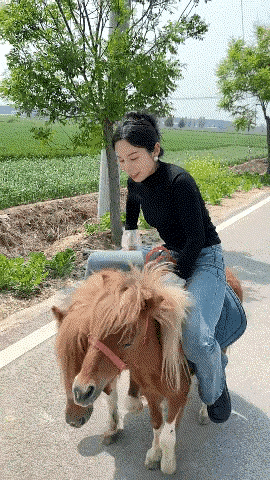 这小马感觉比狗大不了多少，这么点儿的小马，这个女子也忍心骑，这有点让人无法理解，