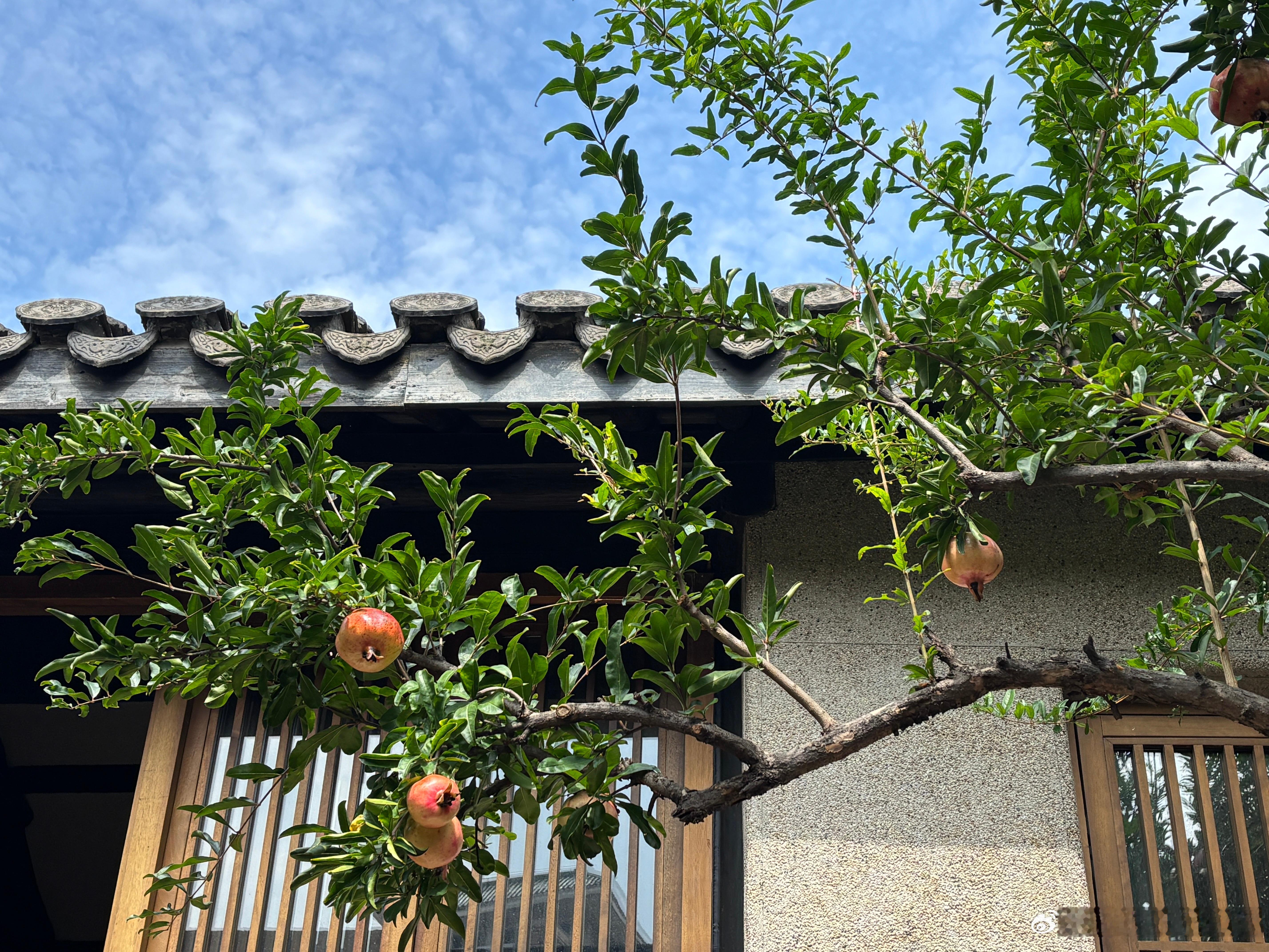 进入丙午年丁酉月之后，这个周末的两天日子都还蛮不错的，小宝们如果有安排出行（秋季