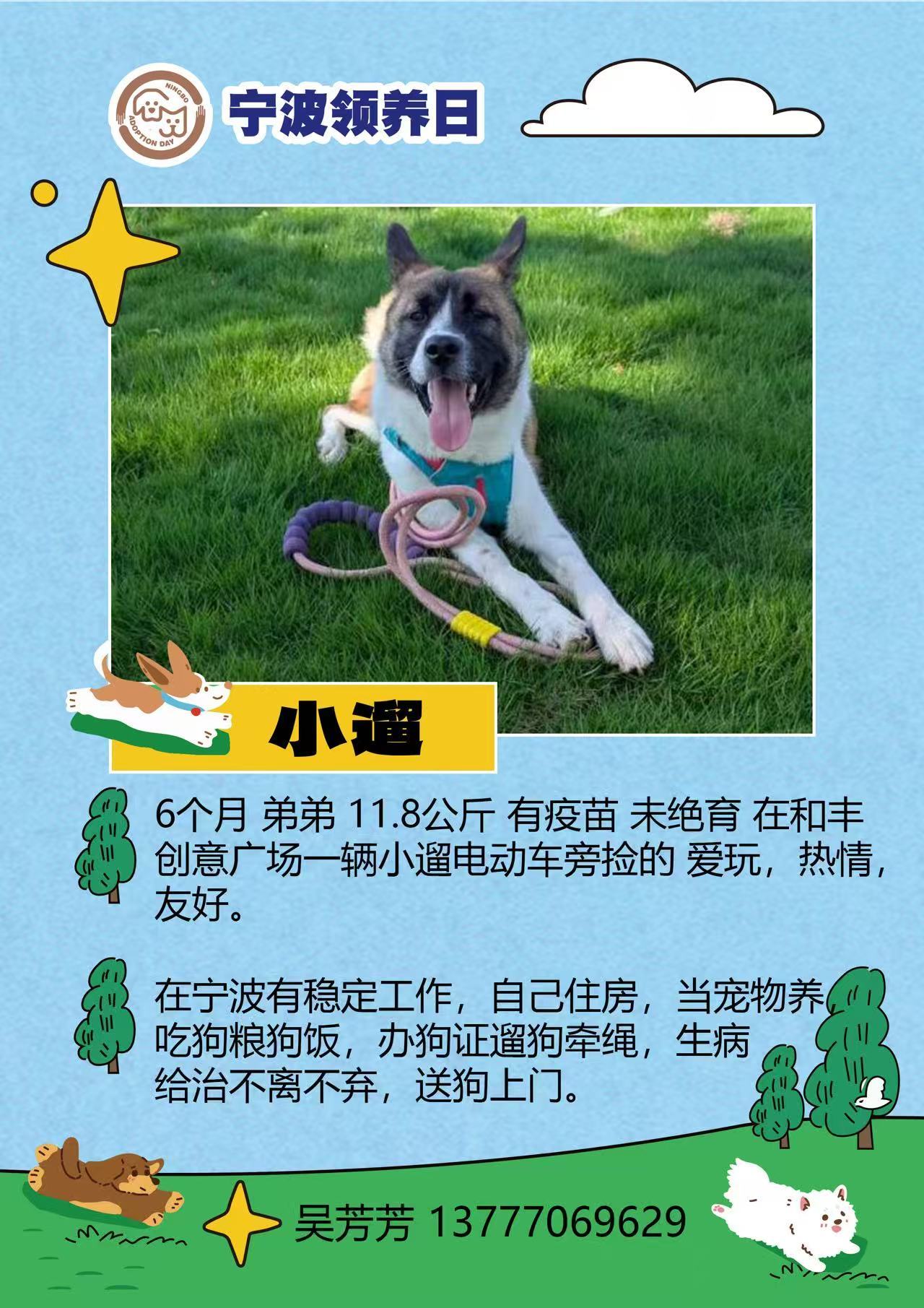 宁波领养日快闪来了  🐱🐶6月26-27日（周五-周六）下午16:00-19