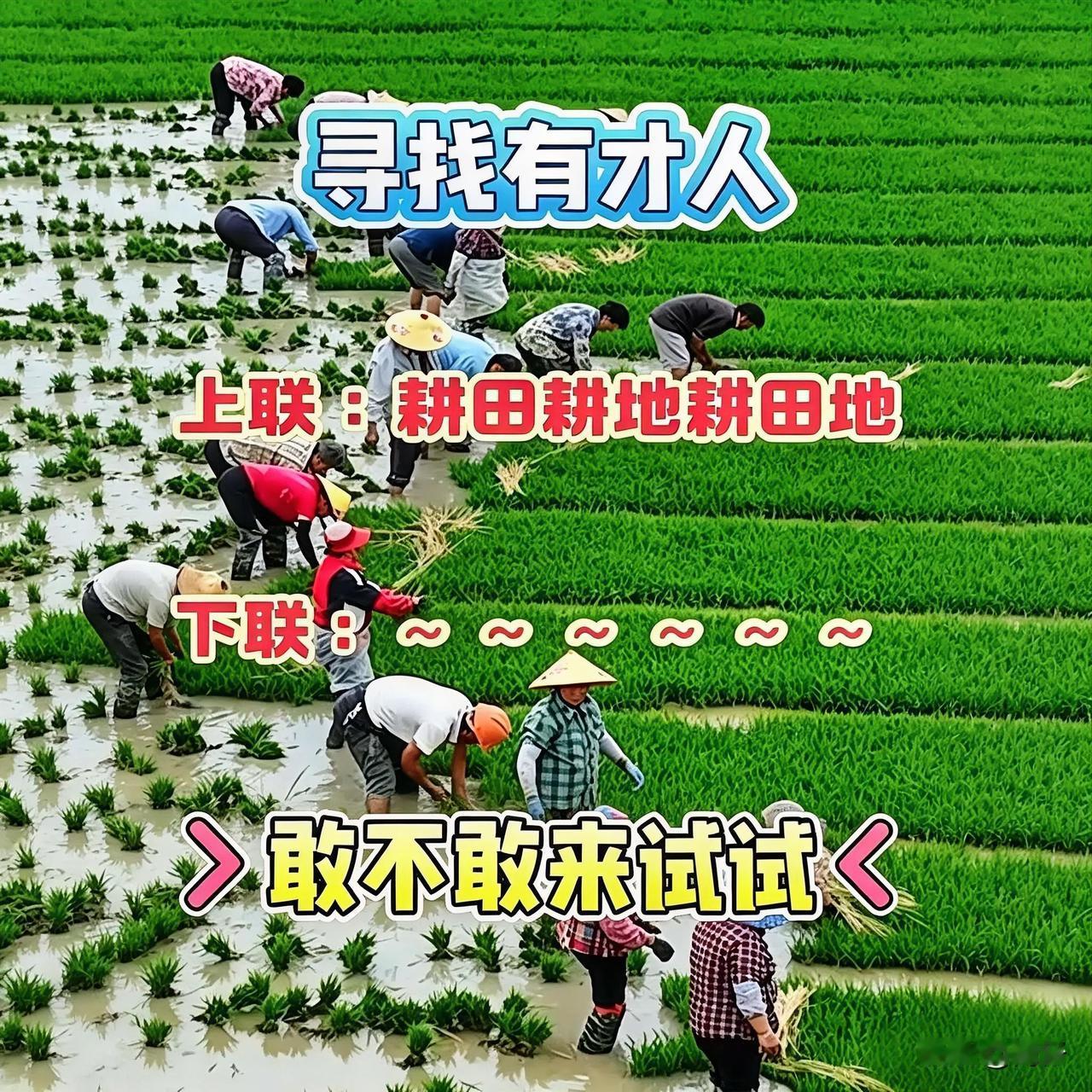 这上联太绝了🔥
“耕田耕地耕田地”，
画面里的农人太真实了，
把农人的日常说透
