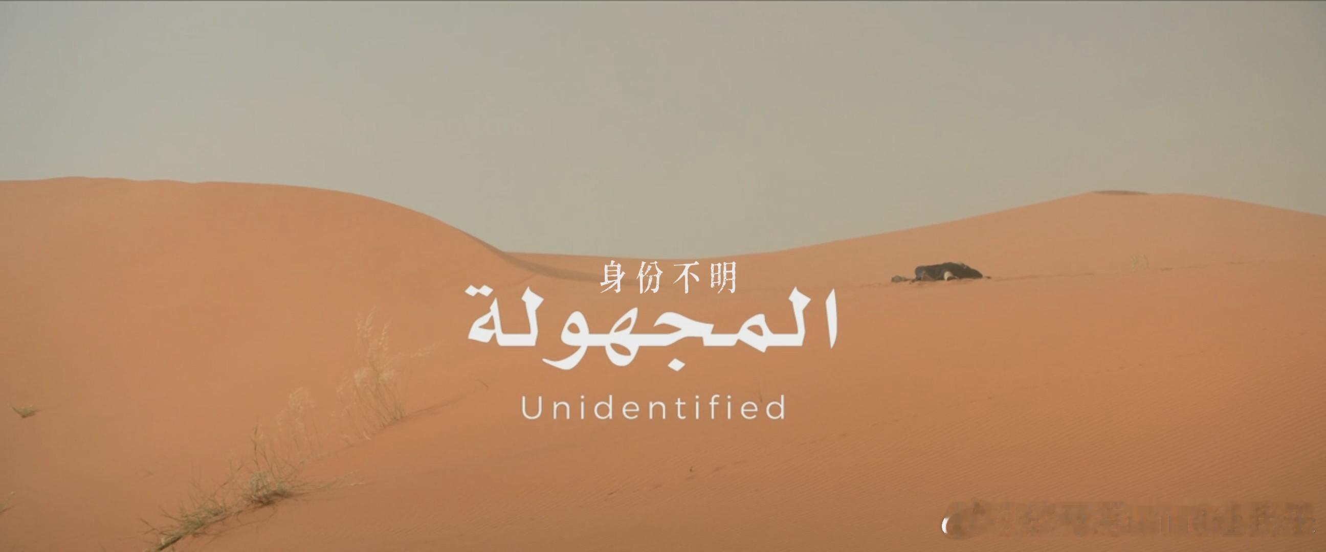 身份不明 导演 Haifaa Al-Mansour编剧 Haifaa Al-Ma
