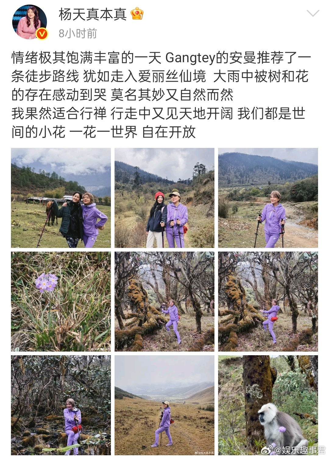 章泽天杨天真不丹徒步杨天真晒与奶茶妹妹不丹徒步照有能力的人之间是没有壁的，奶茶妹