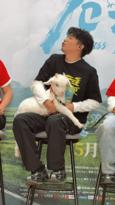 曾毅小羊亲亲哈哈哈哈一转头就和小羊亲起来了啊[哇][哇] ​​​