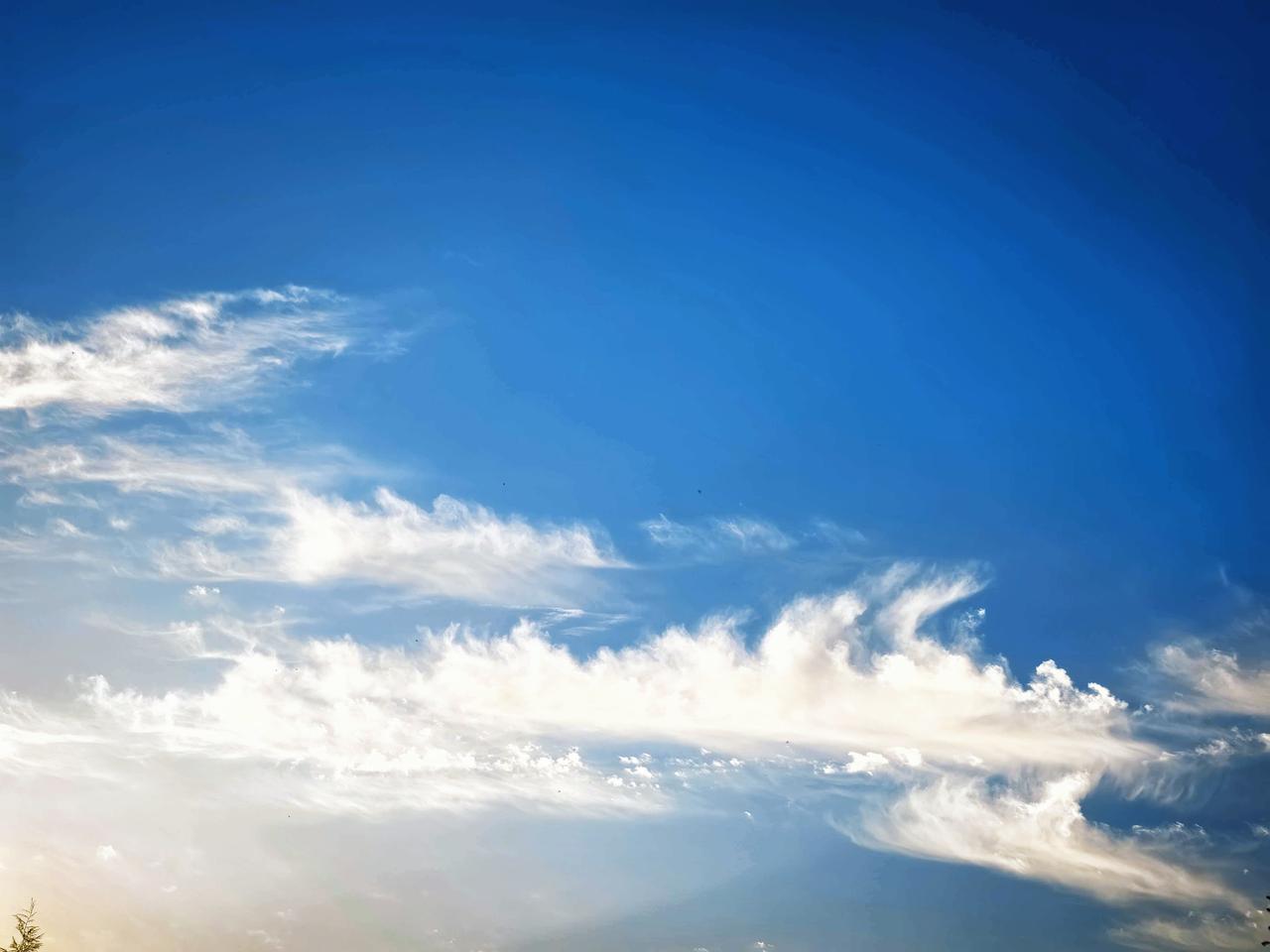 AI取名，
配不上老祖宗的好词汇，
一没灵性，
二没智慧，
三没情感。
还常干缺