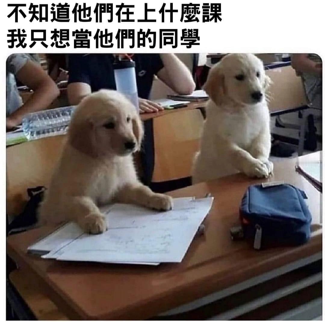 老师，我能有这样的同学吗[哇] ​​​