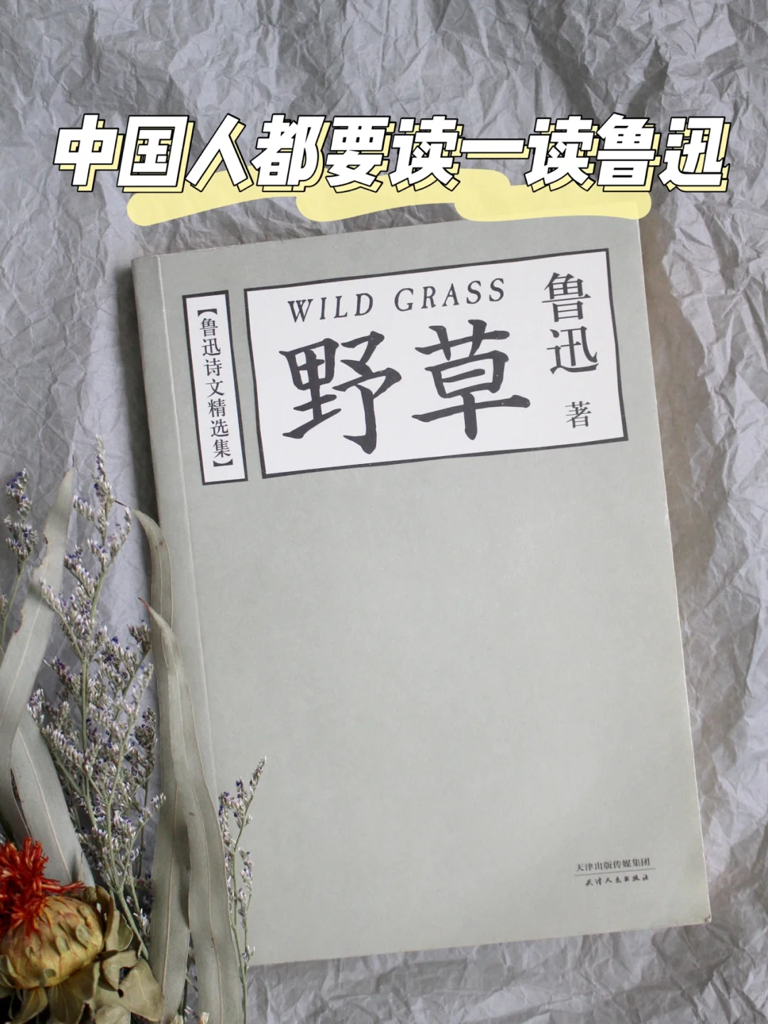 豆瓣9.3|鲁迅：我一生的哲学都在《野草》里