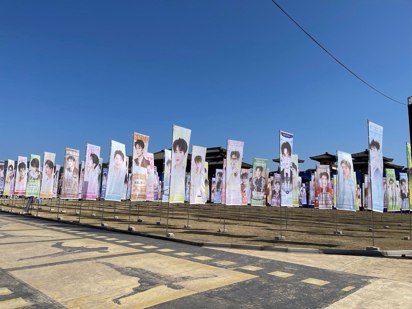 杨洋粉丝139米花墙应援  139米的花墙是什么概念？就是我跑一百米都喘，人家粉