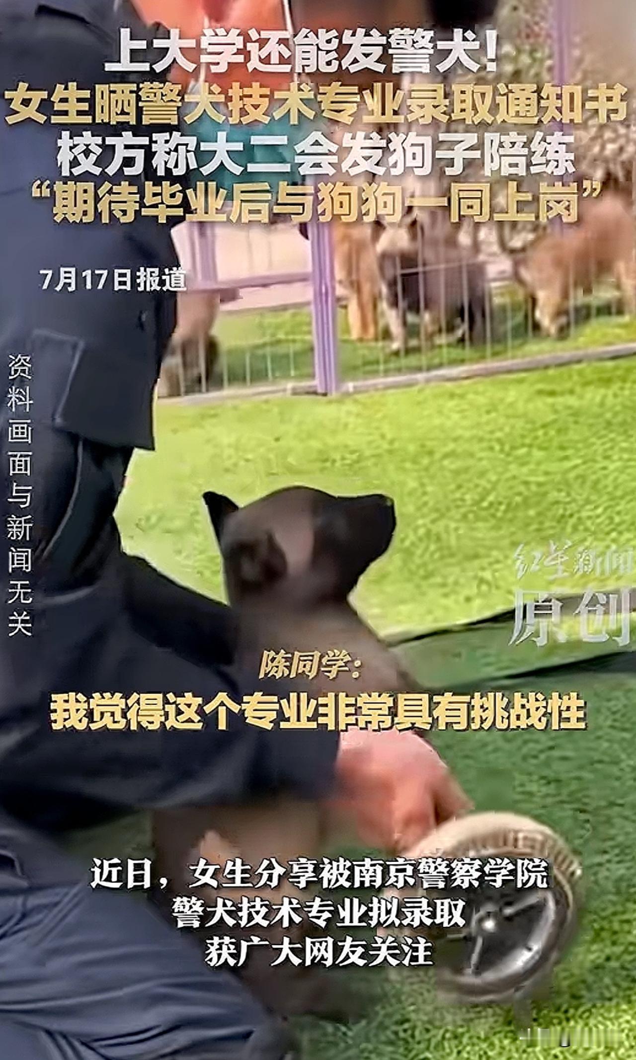“这专业真够特别的！”近日，一位女生在网上分享被南京警察学院警犬技术专业拟录取，
