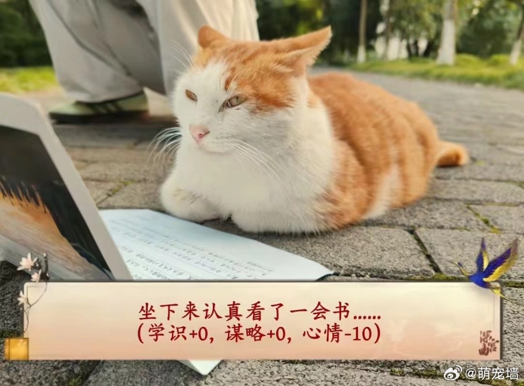 我在课上就这样 