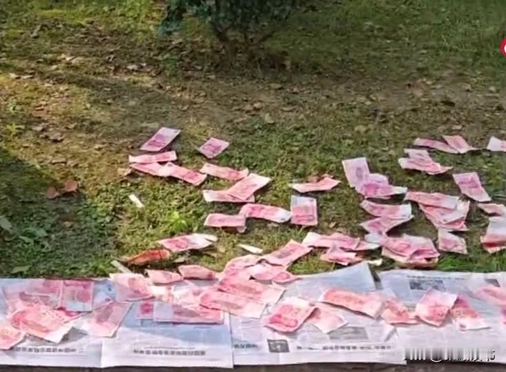 成都街头，一男子办完事路过绿化带，忽见台阶上摊满百元现金。他忍不住问，“这是干啥