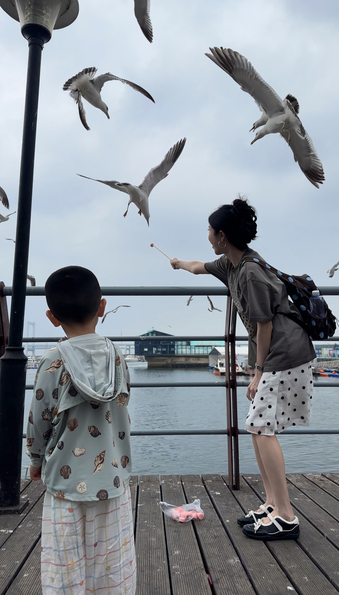 海洋公园逛了 海鸥喂了 海胆饺子吃了 美哉 回酒店歇歇 
