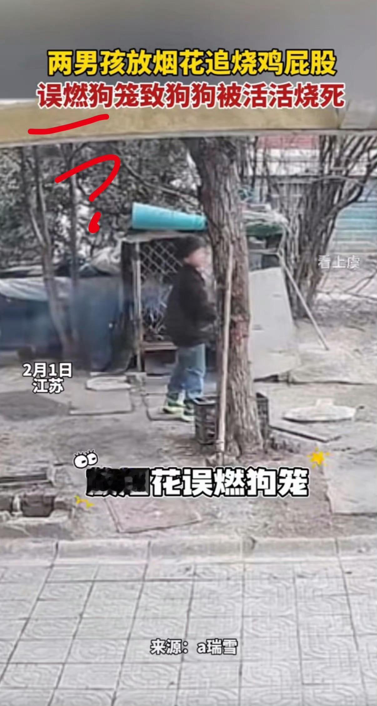 年龄不是逃避法律制裁的手段。多方回应小孩小区玩火烧死笼中狗