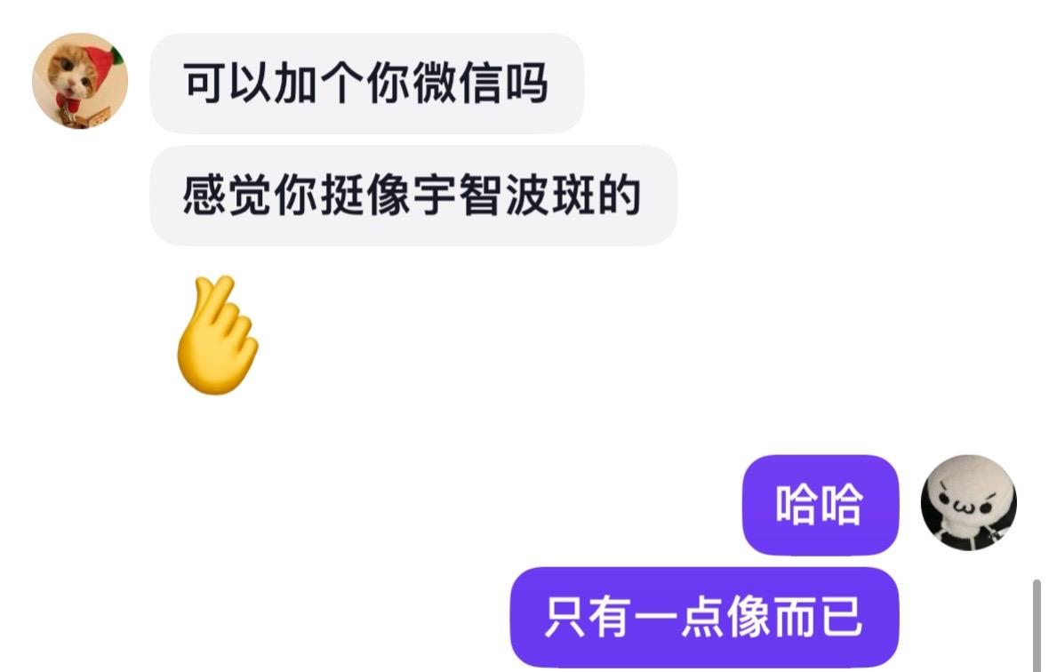 哈哈 只有一点点像而已