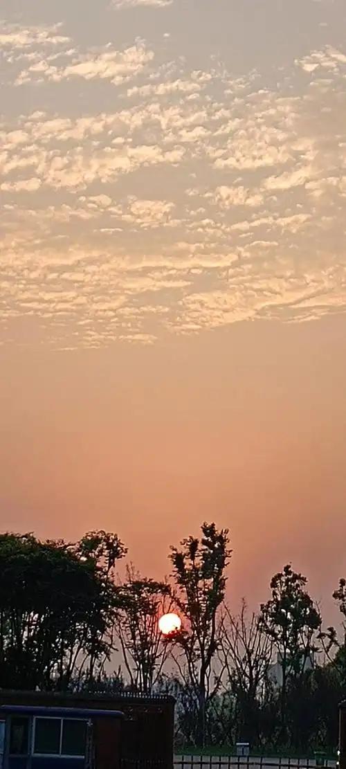 下联：温语暖心过眼云。

（题图来自网络）