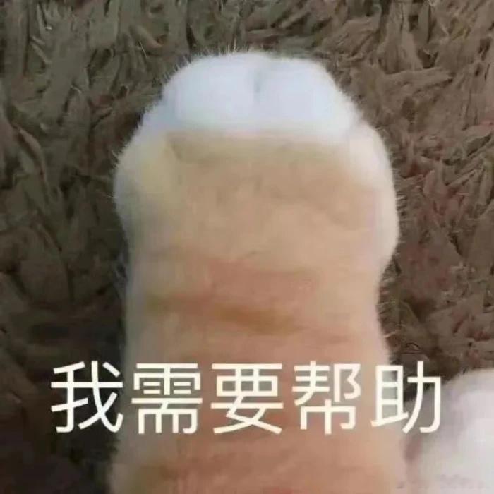 好不容易来到公司楼下遇到电梯滑坠惹突然降到一层，全部楼层按不亮，又恢复可爱保佑咪