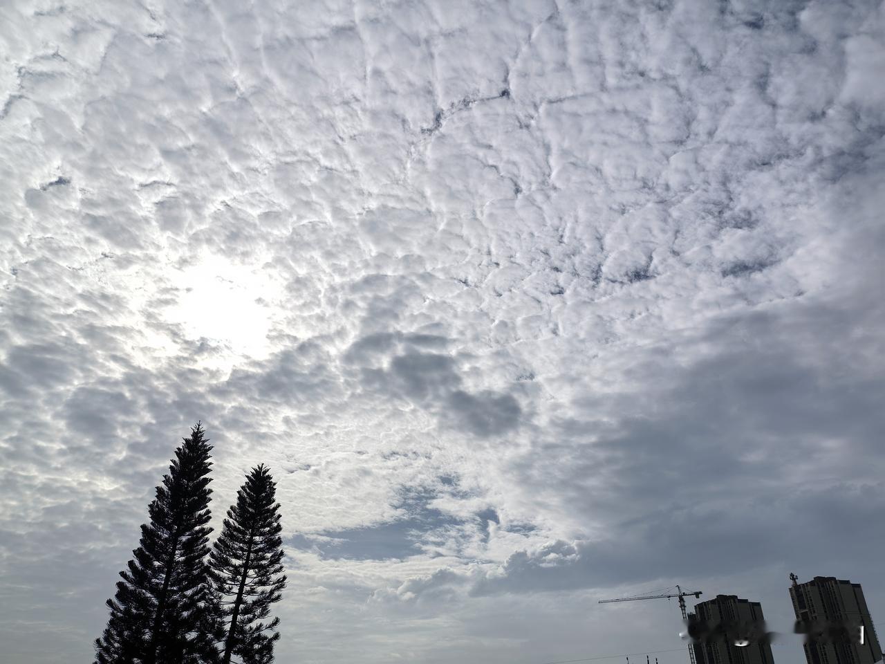 喜提周末雨！广东仍有中雷雨局部大雨或暴雨！

18～19日，广东南部市县有中雷雨