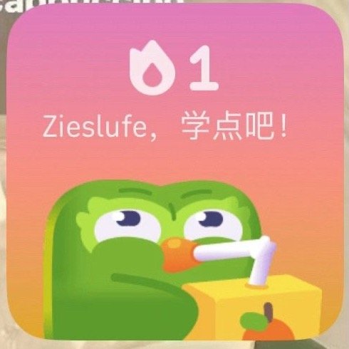 终究养上鸟了多邻国