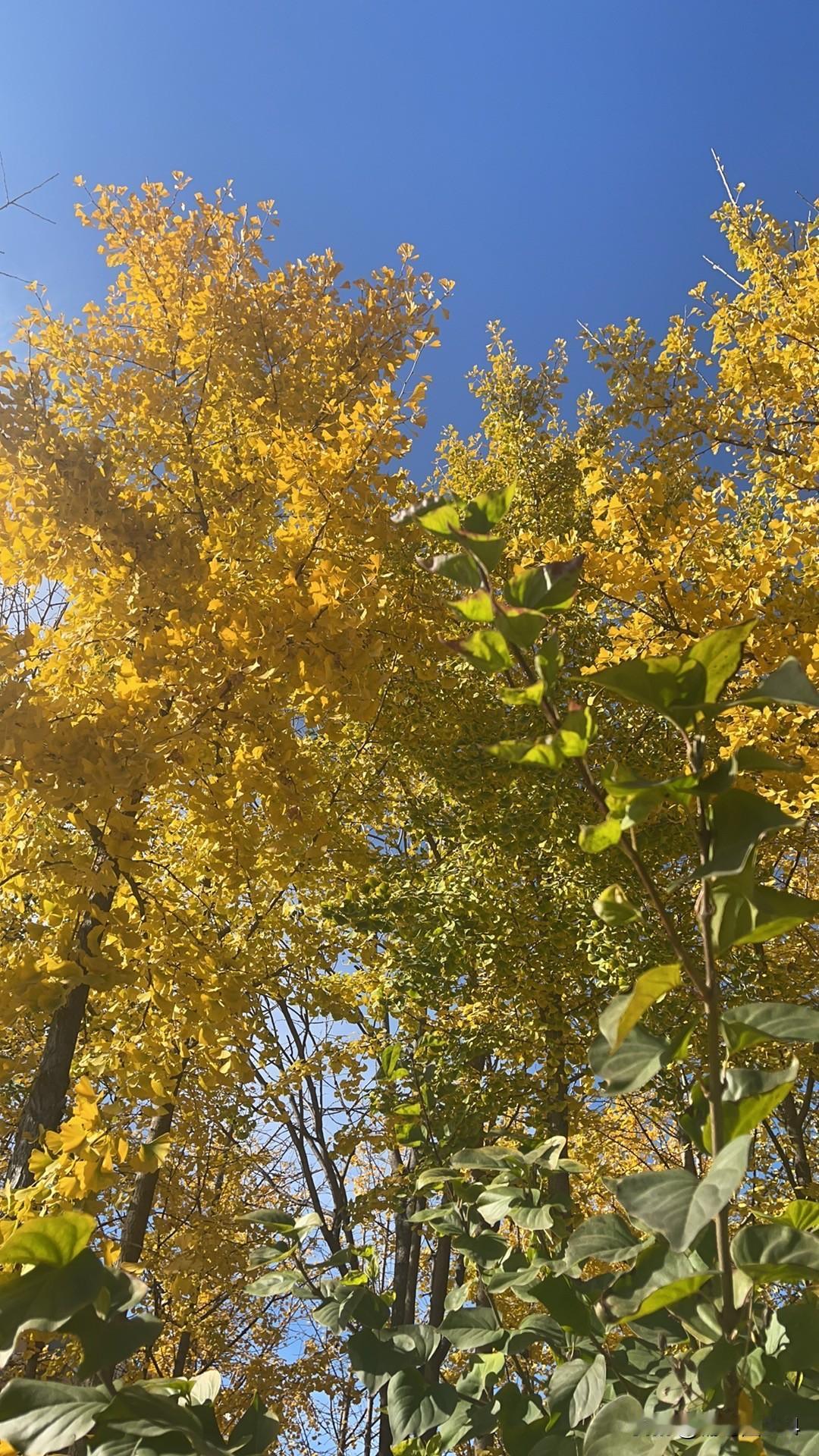 如何看待俄称欧洲多国正成为乌“战略后方”俄有俄的后方，乌有乌的后方……我们有句俗