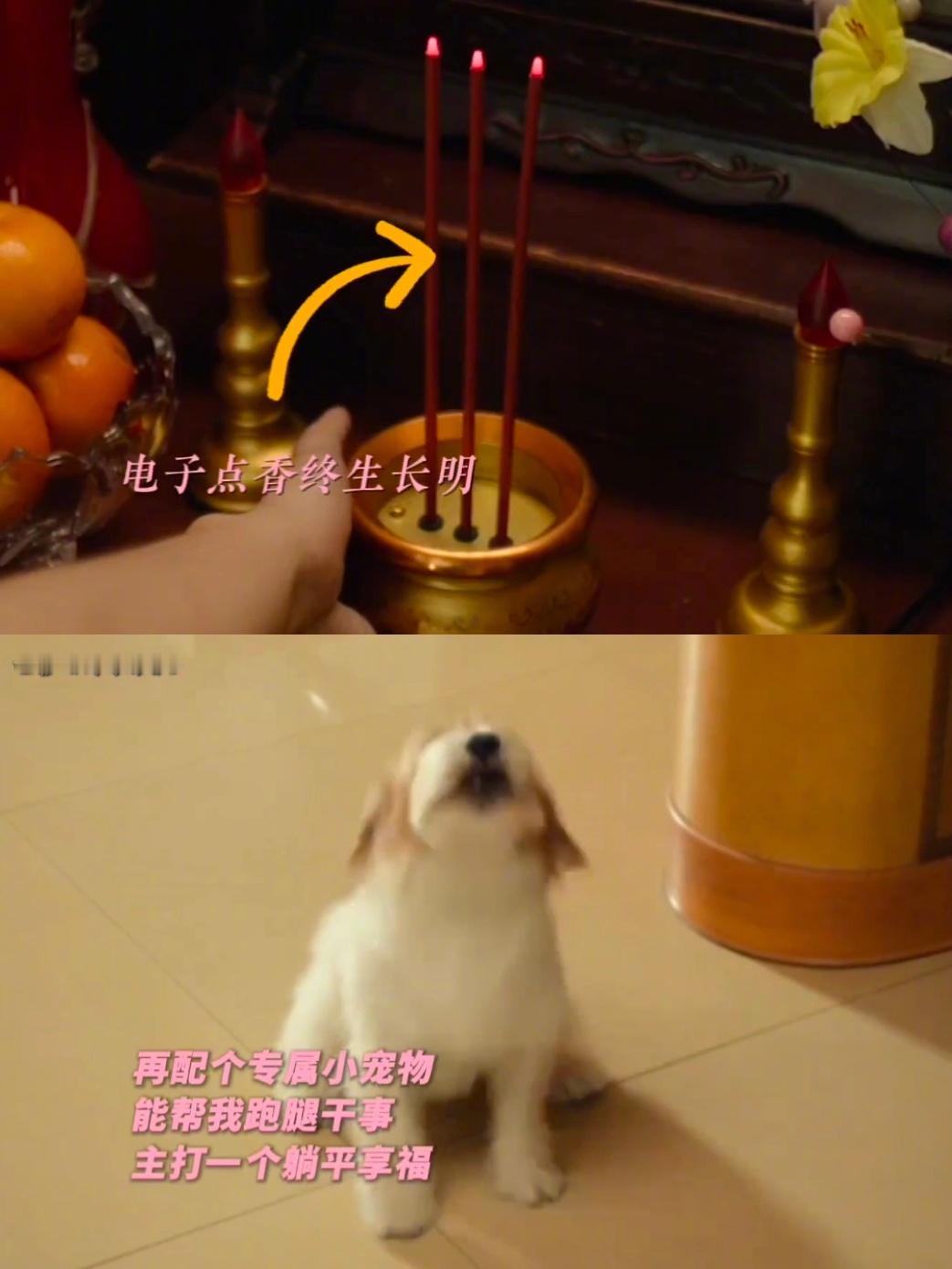 我的妈耶 电子香案 李东玉同款电子香案也太香了！能通话、有长明电子香，还自带专属