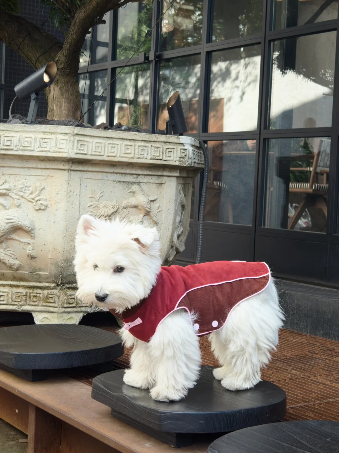 红红火火过大年🧧