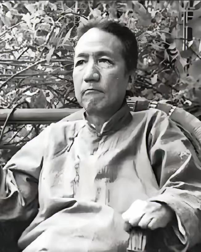 1941年，几个日本兵闯入一位中国老人家中，双目失明的老人用流利的日语厉声斥责。