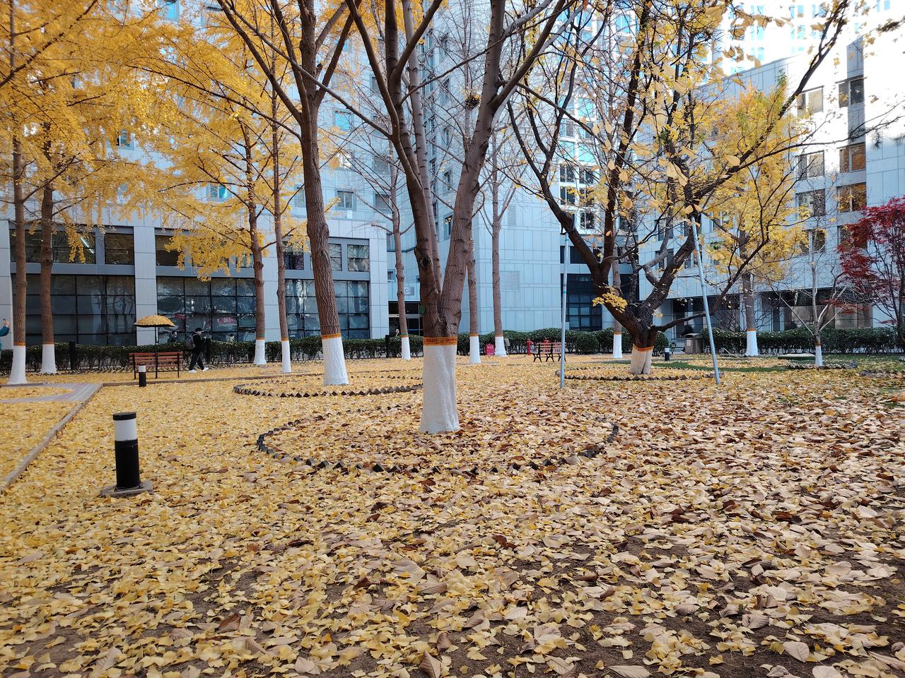 AI家庭四大件让家更有温度