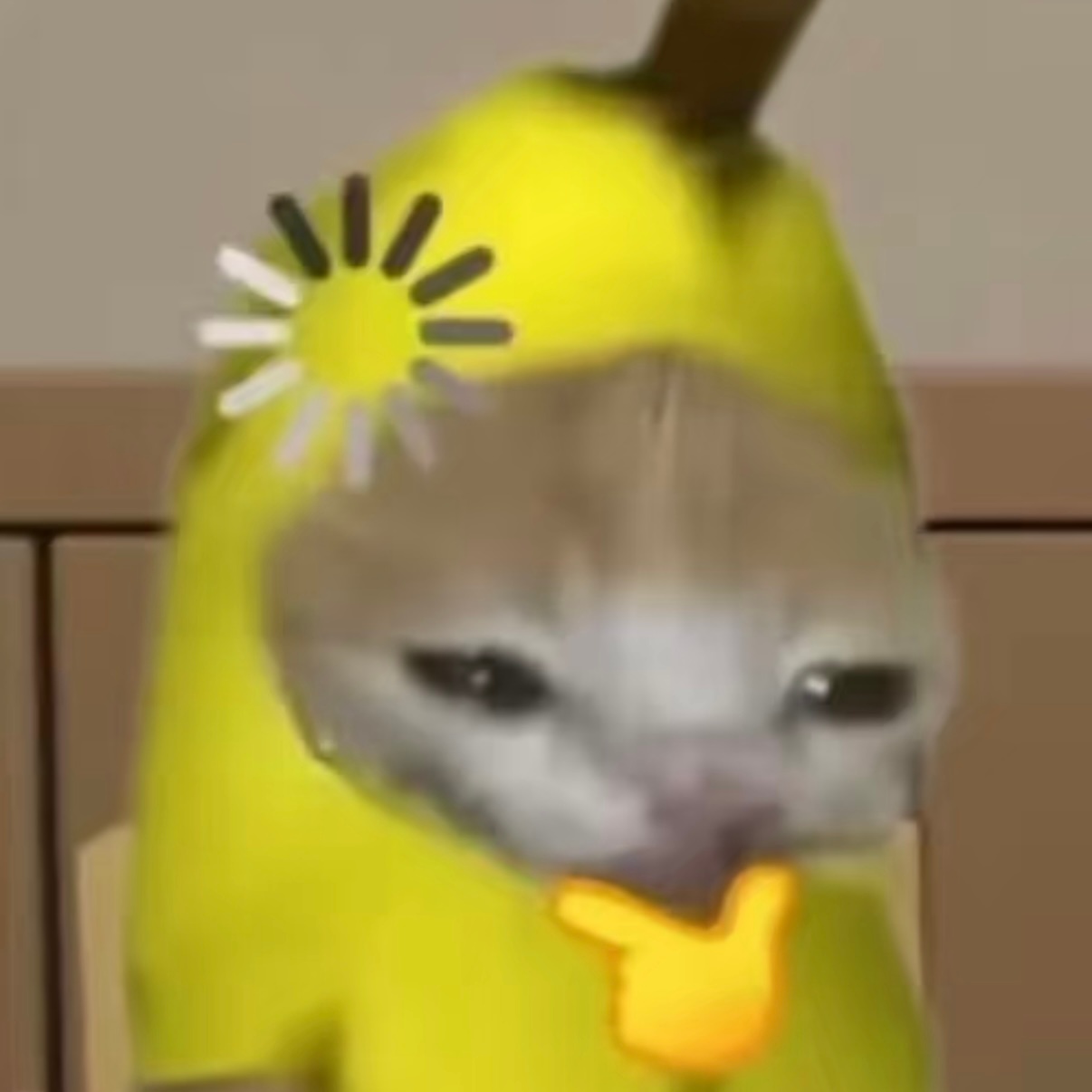 猫の思考🐱❓ 