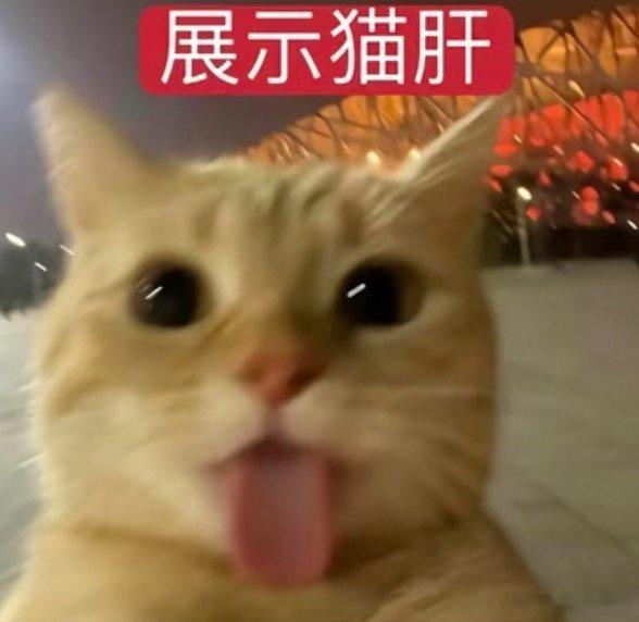 有时候就是想逗逗恁们 