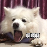 素安侃汽车
