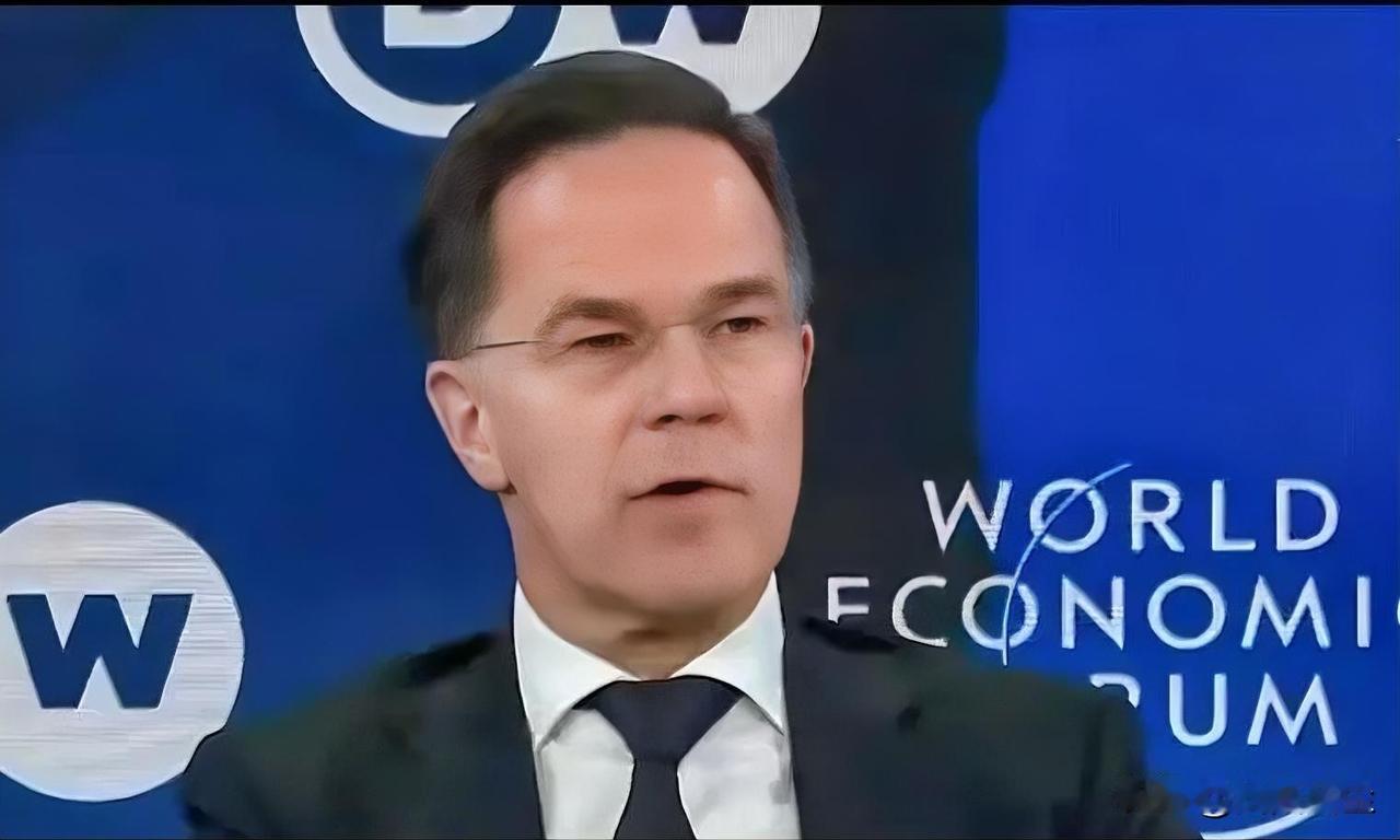 :美国无疑是当今世界最强大的国家，因此美国总统是自由世界的领袖，你无法想象北约能