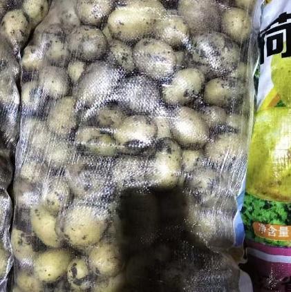 陕西商洛，一司机运输35吨土豆下高速走绿通，谁知收费员在检查完后，认定这些是土豆