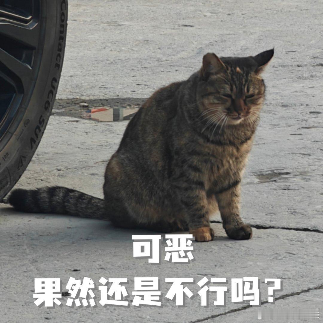 这次的工信部车展有种平静的疯感 