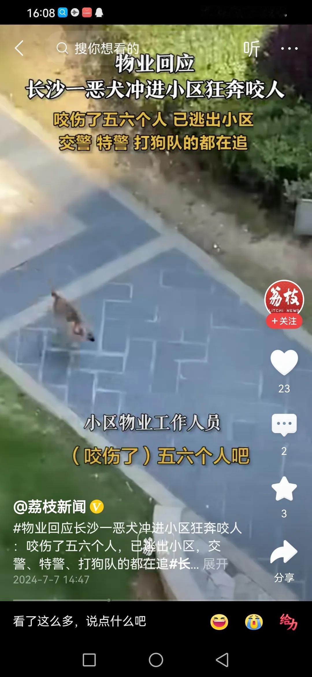 狗具有攻击性，凡是流浪的狗都应该处理掉，还群众安全的公众场合。
在我家周围，以前