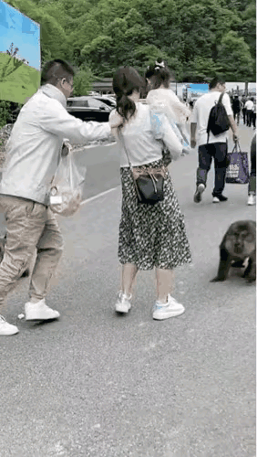不敢动手，可不敢动手，打它比打人后果严重多了[捂脸][捂脸][捂脸]
