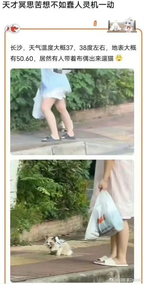 啊这